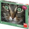 Puzzle 300 dílků, kočka zelené oči