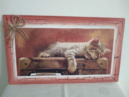 Obrázek, kotě mourek na kufru