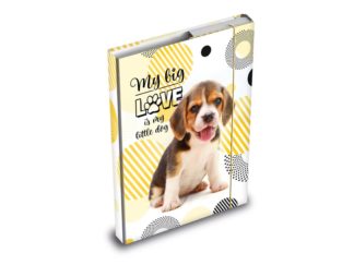 Desky na sešity A4, MY BIG LOVE