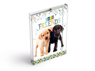 Desky na sešity A4, BEST FRIENDS