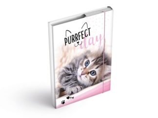 Desky na sešity A5 kočka, PURRFECT DAY