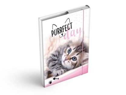 Desky na sešity A5 kočka, PURRFECT DAY