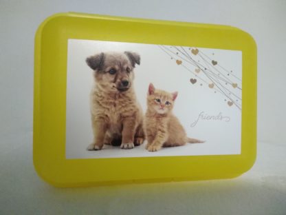 Svačinový box, žlutý