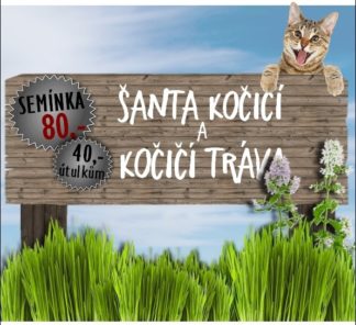 Semínka šanty a trávy pro kočky